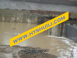 䓉��l�T(m��n)|�יM�S���D(zhu��n)��l�T(m��n) 